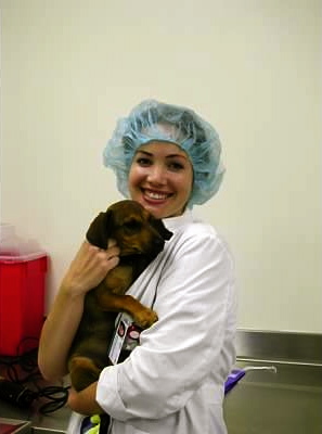 The last time I actually worked on dogs or cats was in vet school!