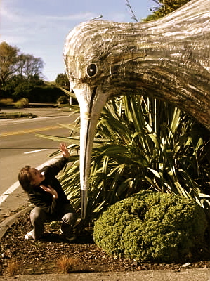 Giant Kiwi Bird