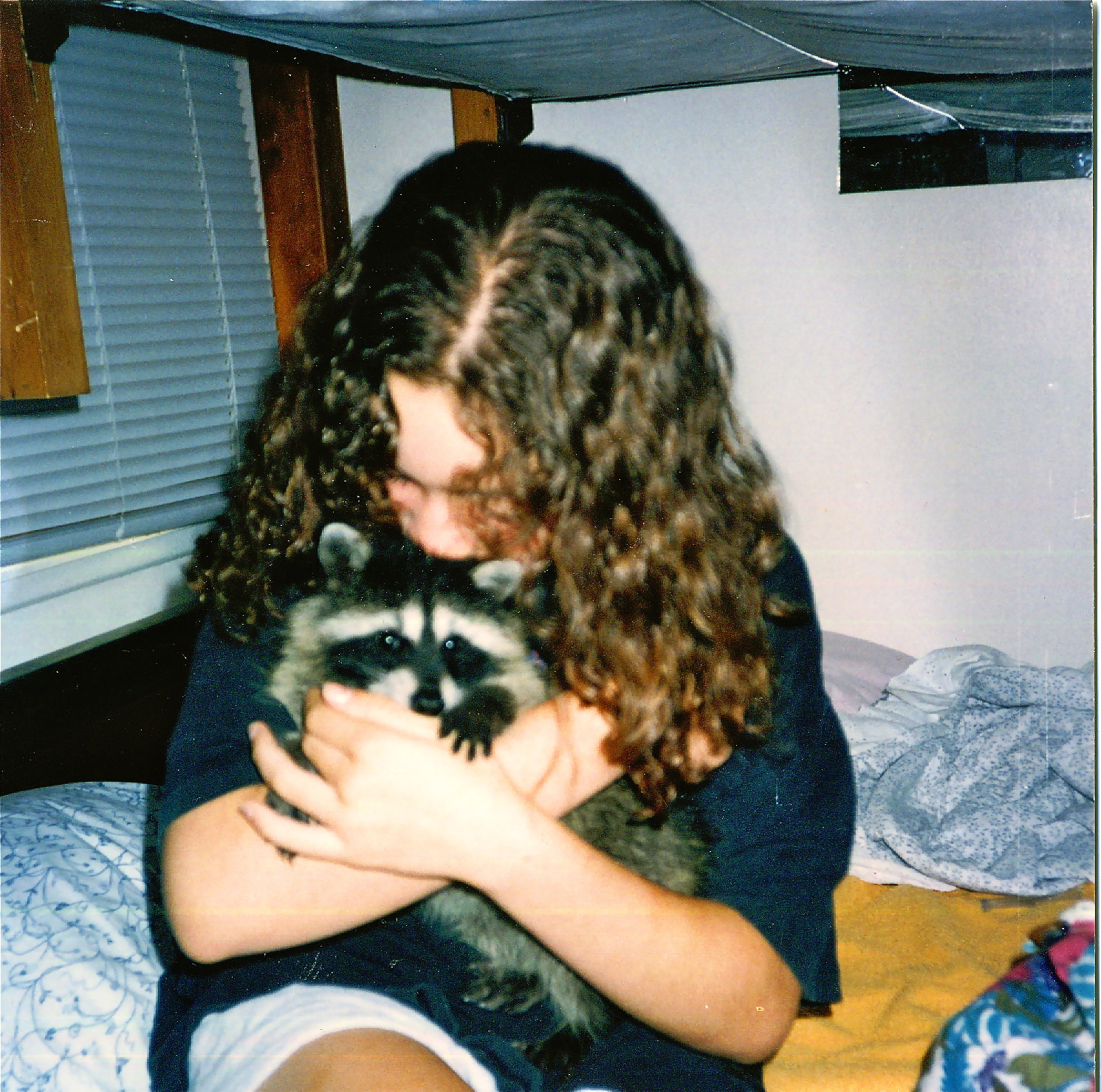 Nuzzling one of our raccoons.  DON'T try this at home!  Apparently my mom had never heard of baylisascaris, which is a serious zoonotic disease carried by raccoons.  Good to know...