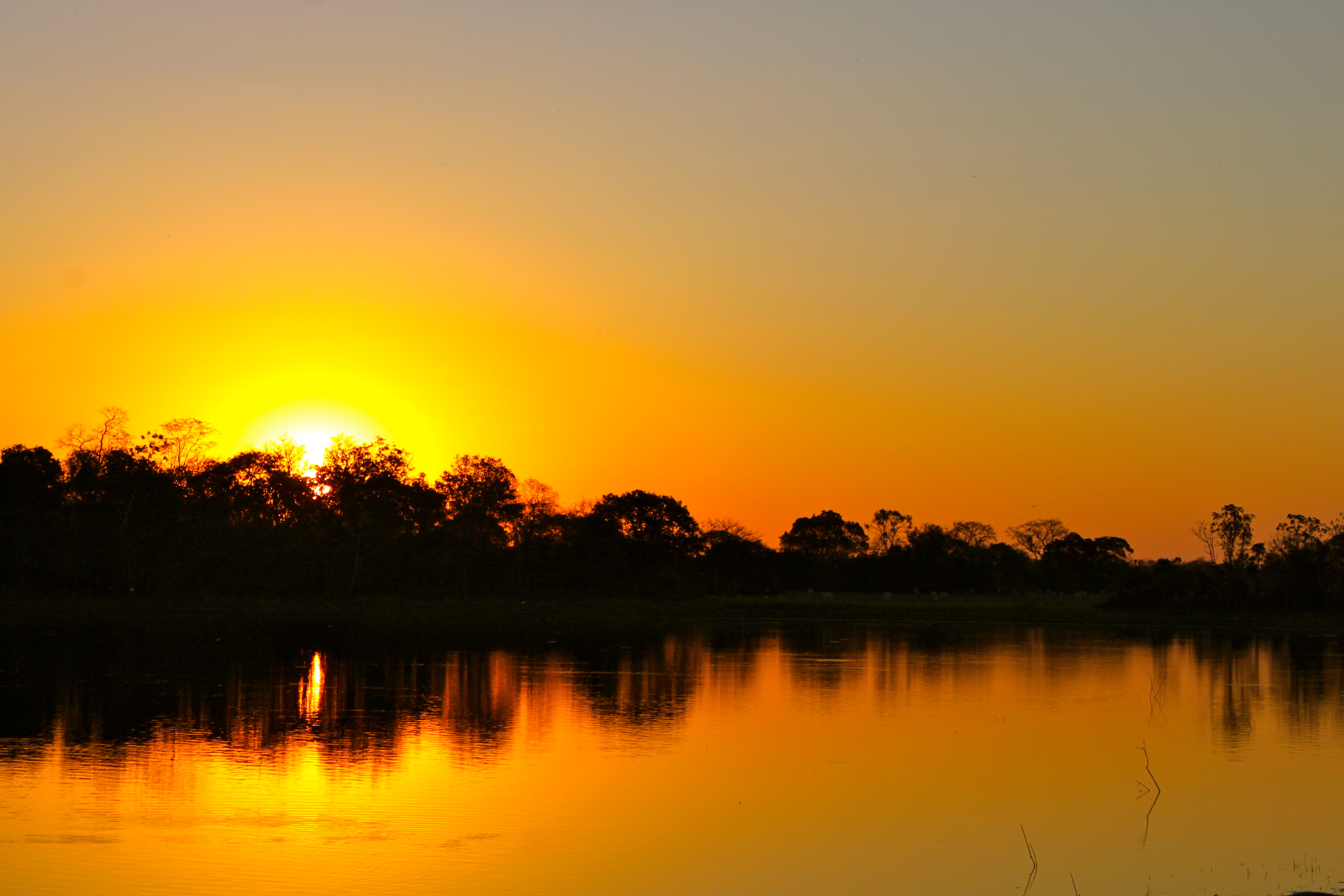 sunset pantanal brazil