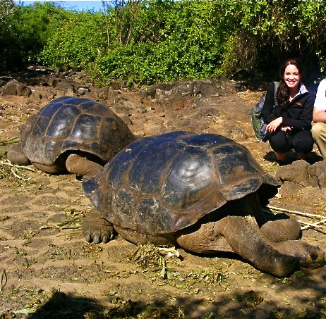 galapagos tortoise charles darwin research station