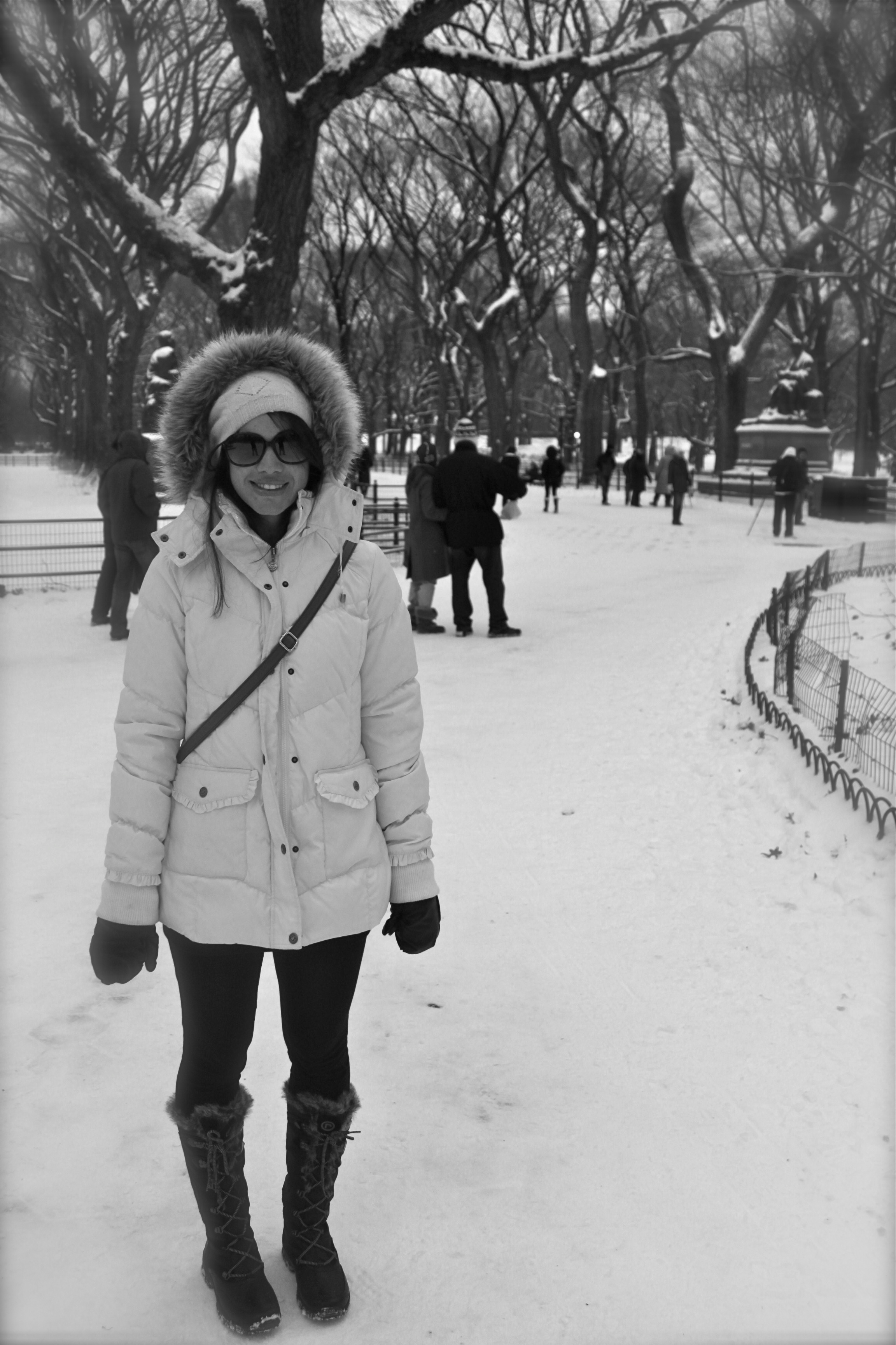 central park nyc snow