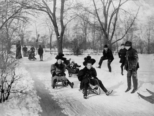 I adore this old-timey picture of girls sledding in Central Park many years ago.