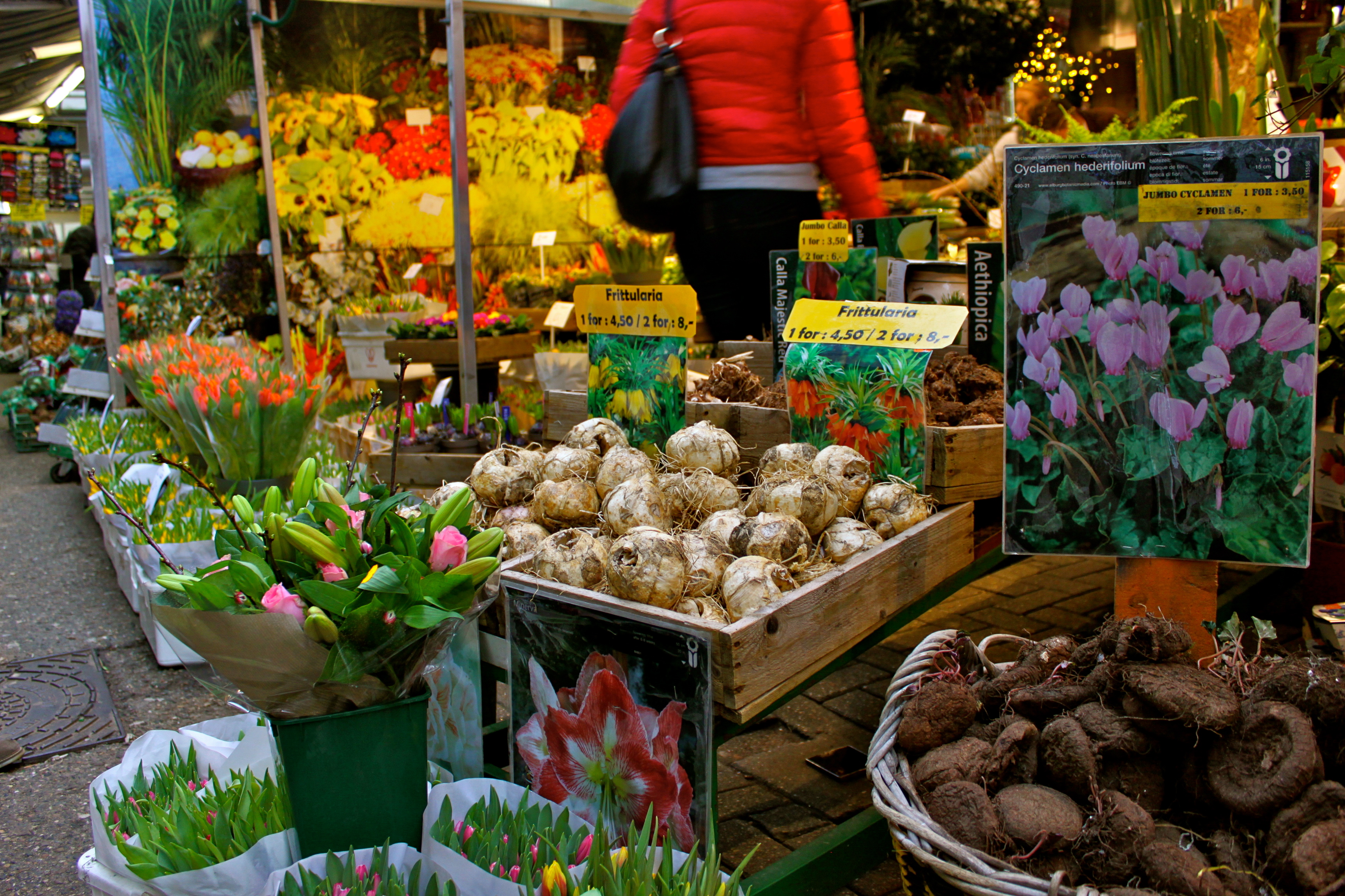 amsterdam netherlands flower market