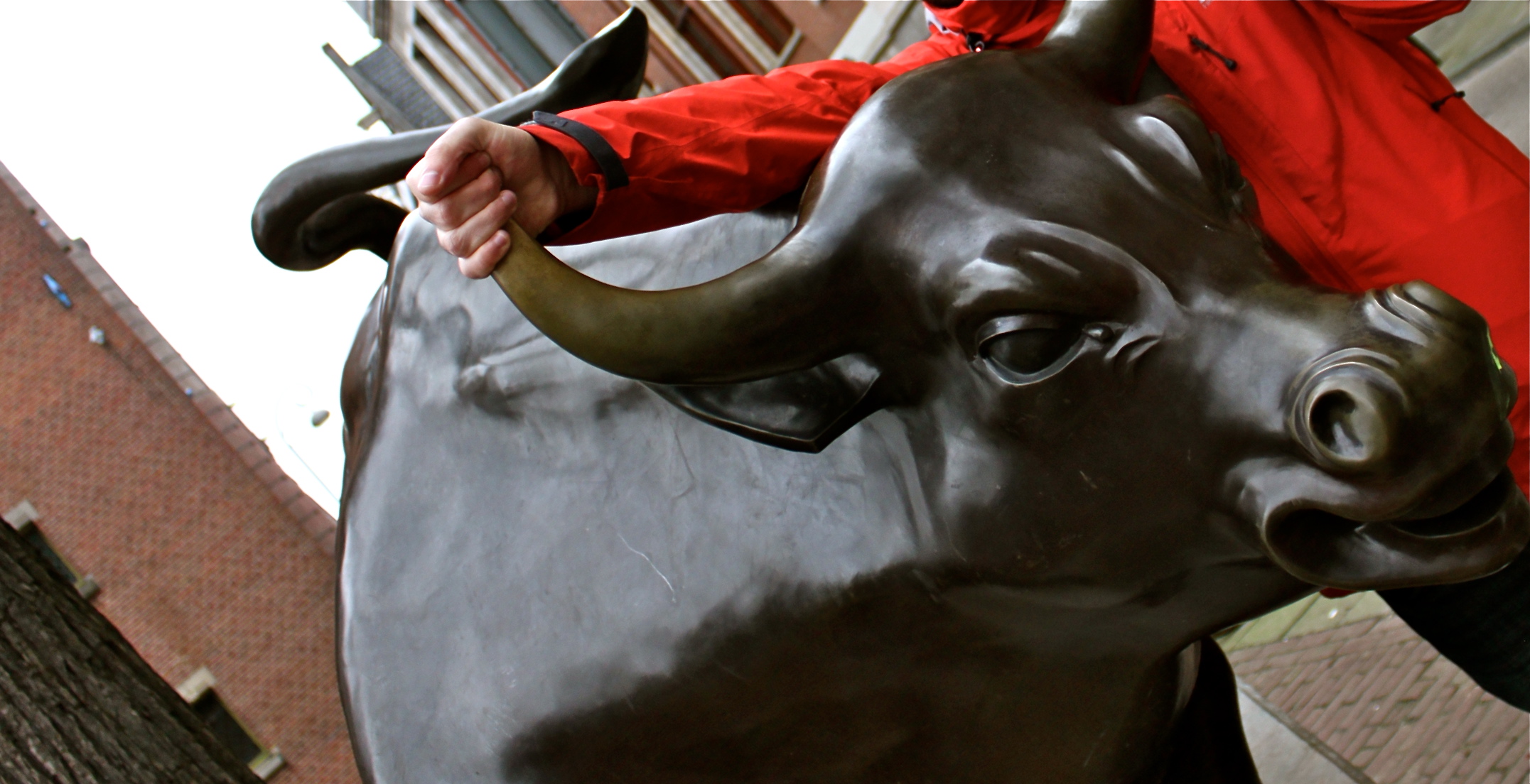stock exchange bull amsterdam netherlands