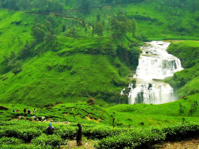 I'm planning quite a few walks through Sri Lanka's gorgeous tea fields.