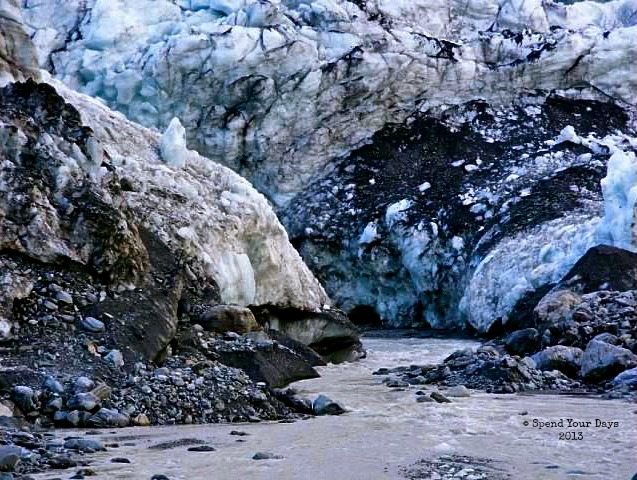 Fox Glacier New Zealand south island